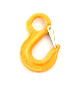 G80 Eye Slip Hook With Latch